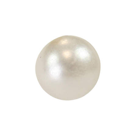 プラチナ×真珠 タイタックPlatinum Pearl Tie Tack Pearl Tie Tack – Historical Emporium