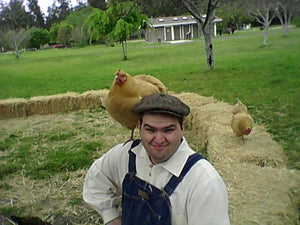 The chickens come home to roost