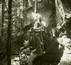 Mysteries of the Forest