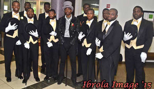 The Noble Groom's Party