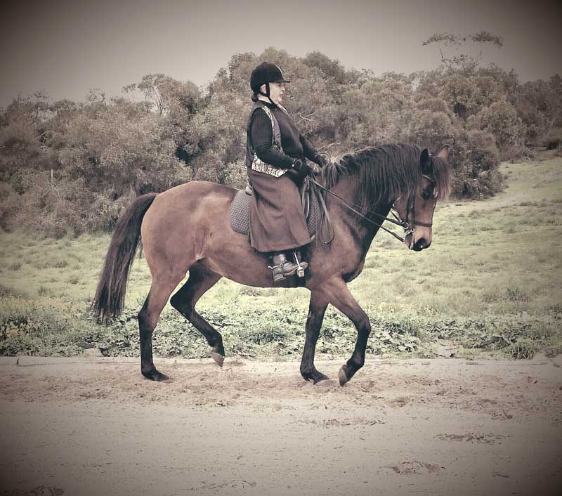 Even the Horse is Happy