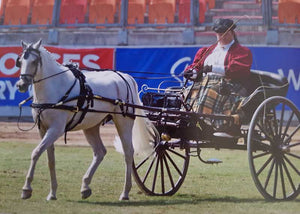 Horse and Carriage