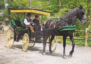 Wissahickon Day Parade