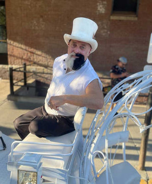 Cinderella Carriage Driver