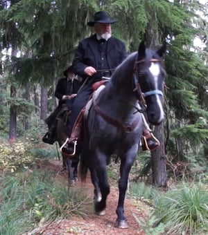 Pioneer Wagon Trails